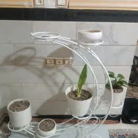 با سلام|گل و گیاه طبیعی|ماهدشت, |دیوار