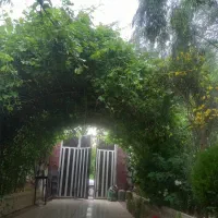 باغچه ویلایی