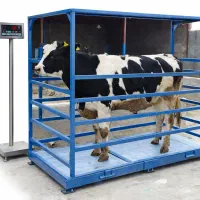 باسکول ترازو  از غرب تا جنوب