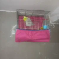 ماهی واکواریوم پمپ تسویه بخاری قفس