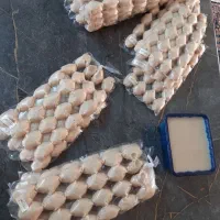 سلام|مجسمه، تندیس، ماکت|مشهد, کوشش|دیوار