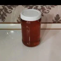 عسل گون دماوند طبیعی
