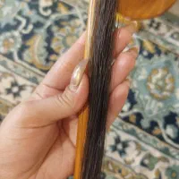 کمانچه|سازهای سنتی|دزفول, |دیوار