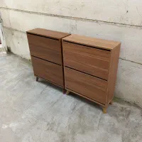 جاکفشی داشتبردی