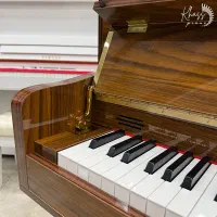 پیانو دیجیتال طرح آکوستیک یاماها + هدایا و گارانتی|پیانو، کیبورد، آکاردئون|شیراز, فرهنگ شهر|دیوار