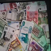 درخواست سرمایه گذار