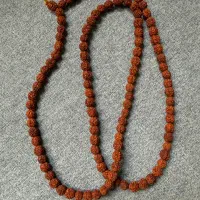 گردنبند دانه «رودراکشا» (Rudraksha) اصل