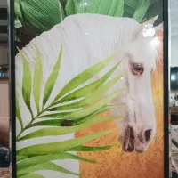 تابلو آینه دار