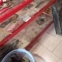 ویترین پوشاک