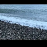 قابل توجه مسافران گرامی .گشت جزیره با ماشین شخصی