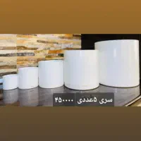 پخش انواع گلدانهای مشکی گلخانه ای|گل و گیاه طبیعی|پاسارگاد, |دیوار