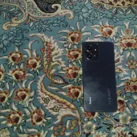 نت ۱۲ شیامی