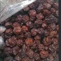فروش آلو خشک گاخ شیرین و آغپنجر