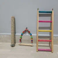 نردبان و تاپ ونشیمن زبر پرنده