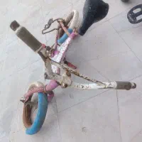 دوچرخه 12و16|دوچرخه، اسکیت، اسکوتر|تربت جام, باغ سنگان سفلی|دیوار