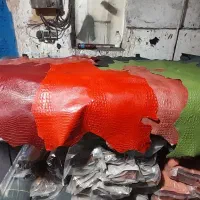 تولید  چرم گوسفندی گاوی بزی