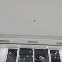 نقاش ساختمان|خدمات پیشه و مهارت|مشکیندشت, |دیوار