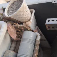 تعدادی گلدان|گل و گیاه طبیعی|تهران, شهرک آسمان|دیوار