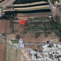 باغ انگور در اکبرآباد شازند