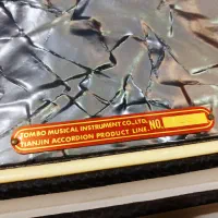 آکاردئون TOMBO مدل TN32N|پیانو، کیبورد، آکاردئون|بندرعباس, |دیوار
