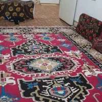 یک عدد قالی ۱۲متری تمیز