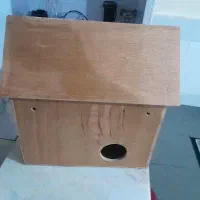 خانه پرنده سقف متحرک باز میشود