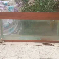 آکواریوم سالم به شرط