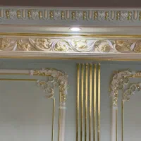 جذب نیروی پتینه