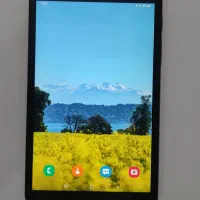 تبلت سامسونگ (قلم دار) Galaxy A8 2019 with S pen