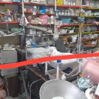 پلاسکو مهمانشهر بردسیر حراجی