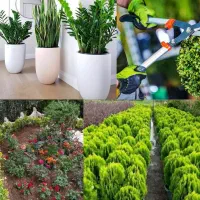 خدمات حرفه‌ای باغبانی هرس‌کاری کوددهی بیل زنی کاشت