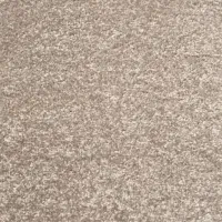 موکت پالاز