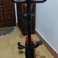 دوچرخه ثابت برند پاندا