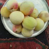 هلو|خوردنی و آشامیدنی|سنندج, |دیوار