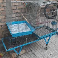 ۴عدد قفس بزرگ ۸عدد جوجه پران