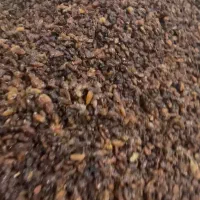 کشمش یک به یک