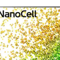 تلویزیون الجی