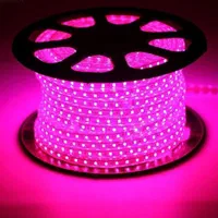 لامپ رشد گیاه|خدمات باغبانی و درختکاری|همدان, |دیوار