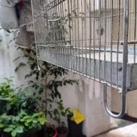 قفس سهره غلامی|لوازم جانبی حیوانات|رشت, توشیبا|دیوار
