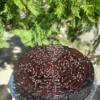 کیک خیس کافیشاپی|خوردنی و آشامیدنی|نهاوند, |دیوار