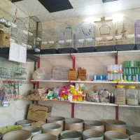 فروش انواع قفس و دان پرنده