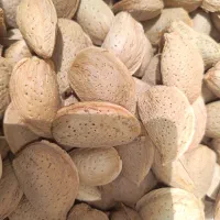 بادام وگردو تازه با پوست و بدون پوست مغز سفید|خوردنی و آشامیدنی|لنجان, |دیوار