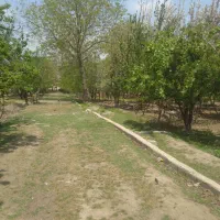 ۵قطعه باغچه ۳۵۰ متری سنددارکنارهم درکرج|فروش زمین و ملک کلنگی|کرج, کلاک پایین|دیوار