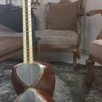 دوعدد تار بسیار حرفه ای و ژوست