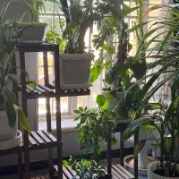 اجاره سوییت یک خوابه