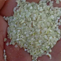 فروش برنج درجه یک کامفیروز|خوردنی و آشامیدنی|بندر گناوه, |دیوار