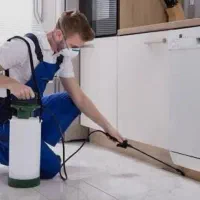 سمپاشی منازل و ادارات و گل و گیاه