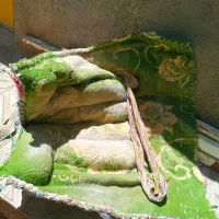 خر آرام|حیوانات مزرعه|درمیان, |دیوار