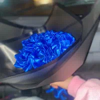 گل روبانی ولنتاینی(۲۵)