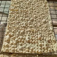 نان مشهدی امیر|خوردنی و آشامیدنی|مشهد, امام رضا (ع)|دیوار